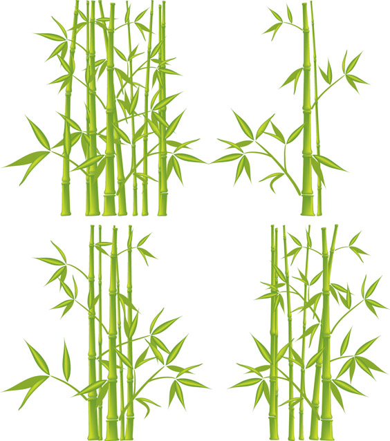 free vector Bamboo vector